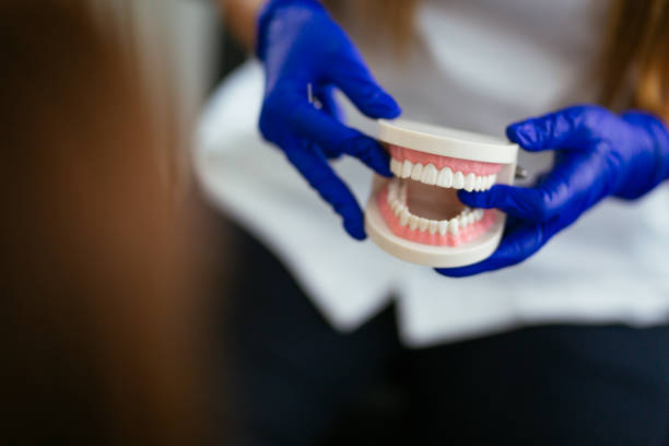 Selinsgrove, PA Dental Services Company